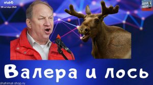 #460 Валера и лось