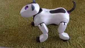 Робот собака Генибо - официальный видеоролик
