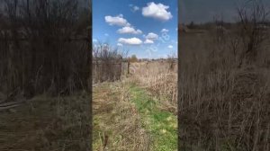 Дом - Нижегородская область, Починковский район, село Кочкурово