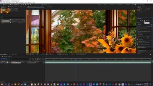 Adobe After Effects : How to View Full Screen Preview
