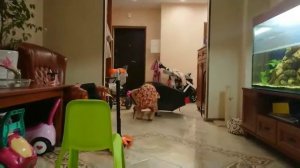 АВРОРА МЕРЯЕТ МАМИНЫ КАБЛУЧКИ