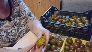 Атомный виноград бреда Какой он. Обзор томата и дегустация.