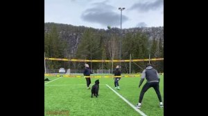 Внимание! Норвежец научил своего пса играть в волейбол. .mp4