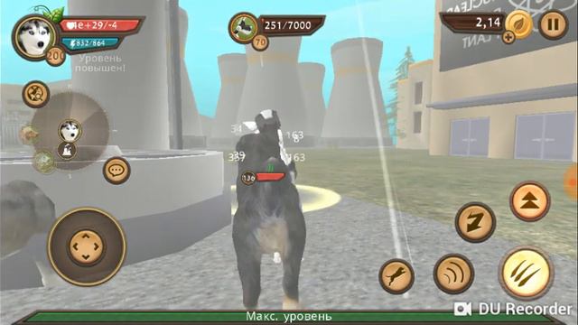 Дог сим 1 часть смотреть онлайн