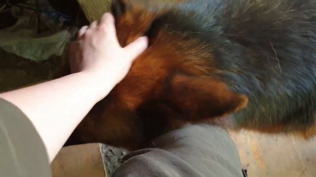 Что-то типо влог июня