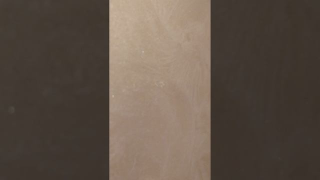 декоративная штукатурка шелк(вьюшки)