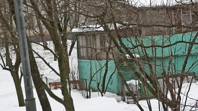 Мои впечатления