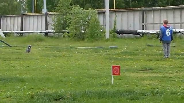 P1250655 Чемпионат Тюм обл 16 06 18 окд Ирина и Рич смотреть онлайн