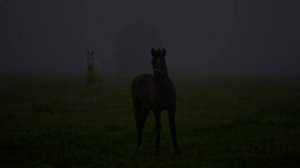 Как празднуют Пасху в разных странах мира