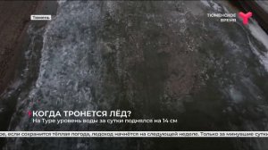 Когда тронется лёд? | Тюмень