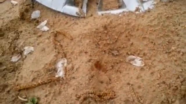 Дача монстер хай часть 1 смотреть онлайн