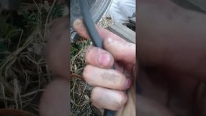 Обзор Мотоблок МБ-2 Нева с двигателем УД-15