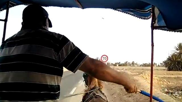 Тунисская повозка смотреть онлайн