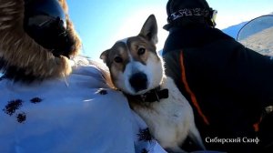 Снегоход Arctic Cat Bearcat WT 660 Turbo