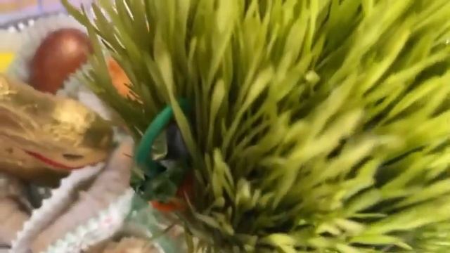 Христос Воскресе. Поздравляю всех с праздником Светлой Пасхи!!! смотреть онлайн