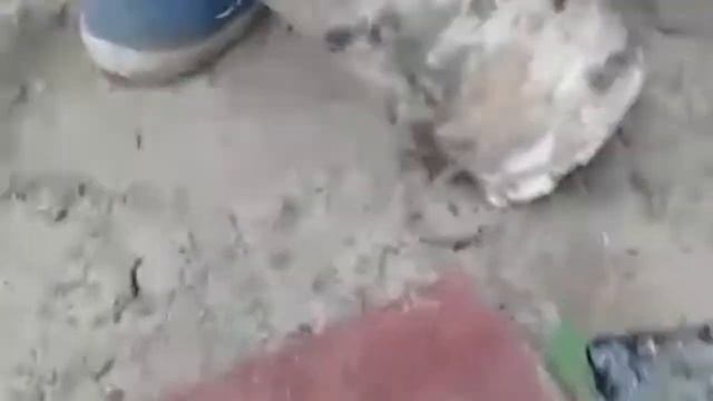 Развитие телефона смотреть онлайн