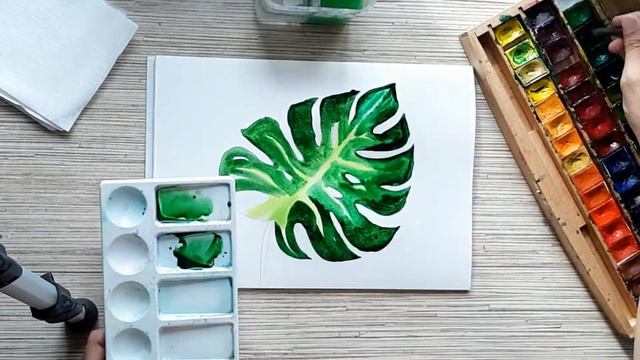 Speed painting monstera leaf смотреть онлайн