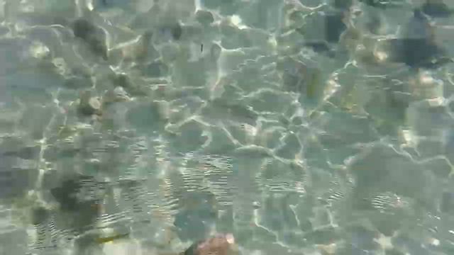 Бали пляж смотреть онлайн