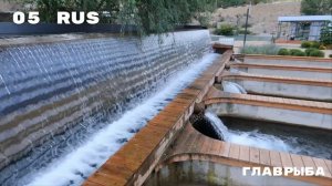 Дагестан.Главрыба.Туса и чуду. Рыба и покатушки