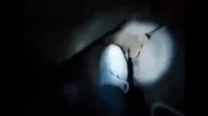 ТОП 5 СТРАШНЫХ СУЩЕСТВ СНЯТЫХ НА КАМЕРУ ПОД ЗЕМЛЕЙ Странные вещи снятые на видео
