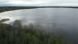 Озеро Белое Лужского р-на Ленинградской области.