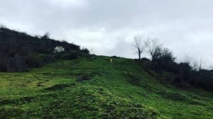 #Lenkoran , #sport . Ленкорань пробежка в горах.