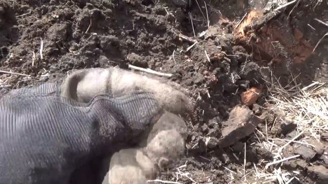 Прогулка-шурф по выбитым местам, не хило! В поиске золота! смотреть онлайн