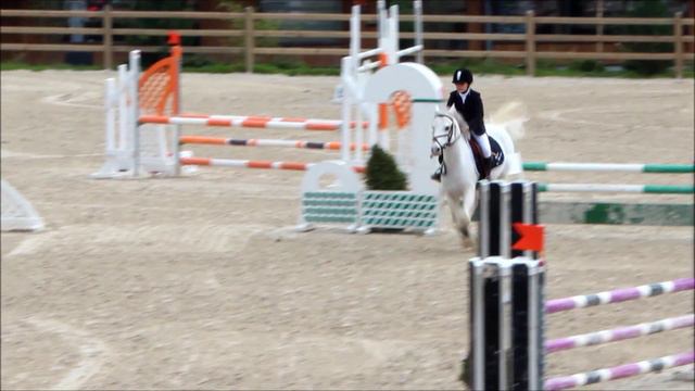 moka du vignault, étalon poney, welsh B, 1m40 смотреть онлайн