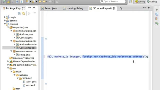 Java Web Development with Spring and Hibernate 3