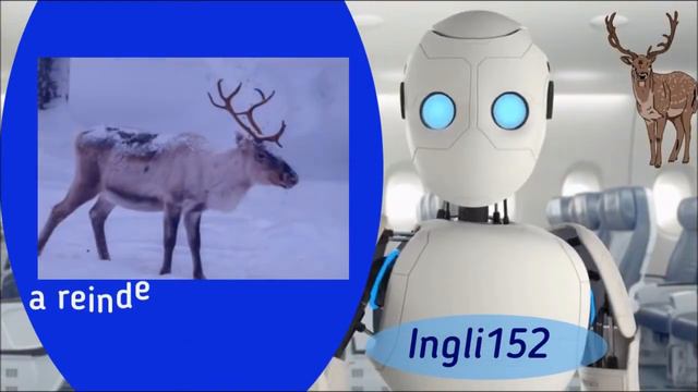 Полный список английских слов по теме "Ферма. Животные и птицы". English Vocabulary, A1.Farm animal смотреть онлайн