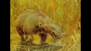 Археология для детей. Кто на кого похож?