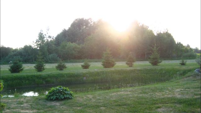 Mõtisklus Kevadest смотреть онлайн