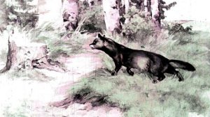 Об умном мышонке / ДИАФИЛЬМ FM