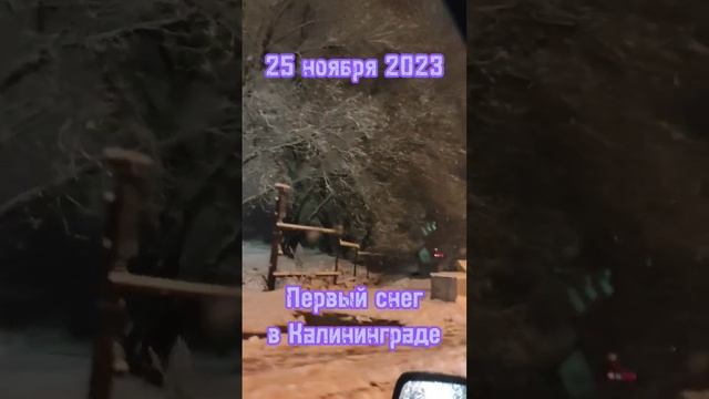 Дорога домой... Зимняя сказка! смотреть онлайн
