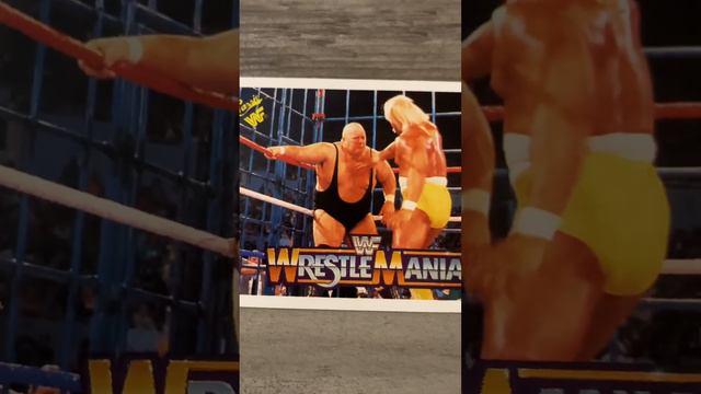 Do You Remember This Wrestle Mania Card ? With  Hulk Hogan  And King Kong Bundy