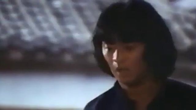 шахматное кунгфу