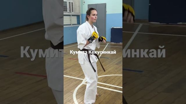 Кёкусинкай каратэ Мурманск / Центр Поларбудо / Учебный вариант Кумитэ ((10.12.22)