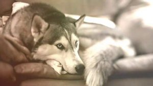 Это видео на тему твоё имя под песню известного исполнителя всем приятного просмотра