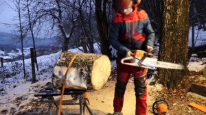 Stihl MS 261 VS Stihl MS 241 | Der Vergleich | HBNB-Motorsägen