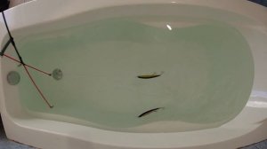 Воблер OSP Rudra 130sp в окружении реплик