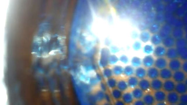 Выращиваем арбизы смотреть онлайн