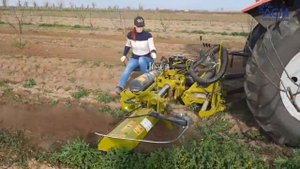 Фреза садовая горизонтальная CALDERONI FPS 80