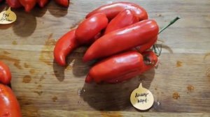 Томаты с перцевидной формой плодов