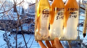 Gulf Competition 5w-40,Ravenol VSI 5W-40 и Лукойл Люкс 5W-40 при  -30°C.