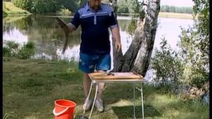 Как разделать судака