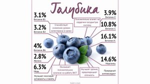Голубика | Чем полезна Голубика человеческому организму!
