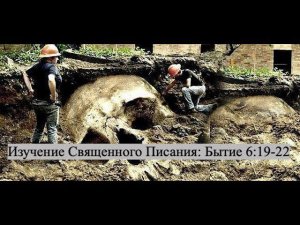 Изучение Священного Писания (Ветхий Завет): детальный разбор книги Бытия, 6 глава, стихи 19-22.