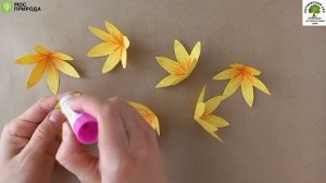 Мастер-класс по созданию открытки с цветами в стиле «pop up»