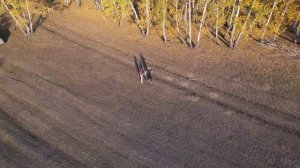 Dji mini 3 pro, интеллектуальный режим Астероид