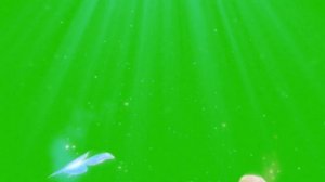 #Футажи летающие бабочки порхают под лучами на зелёном фоне